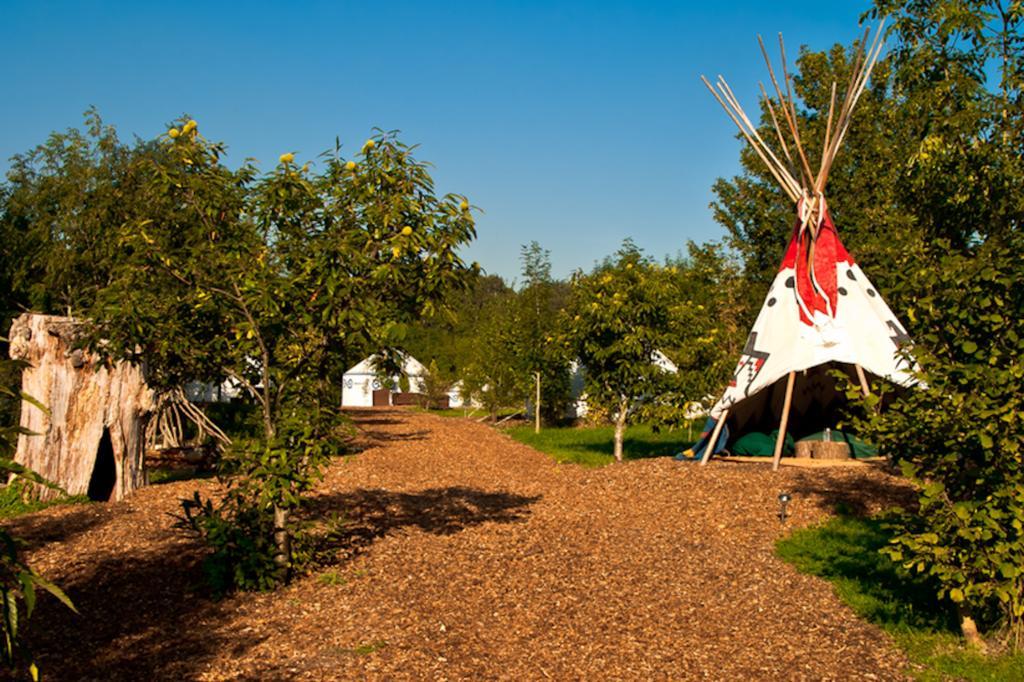 Plush Tents Yurt Village Chichester Eksteriør billede